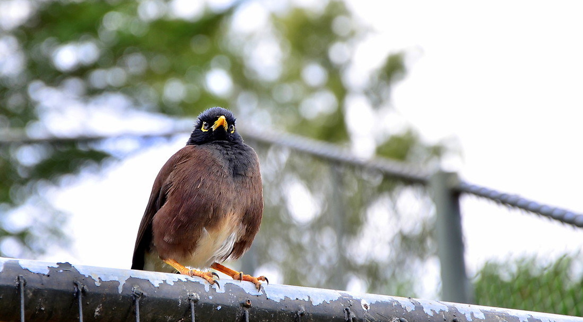 I feel like a king!! by Jasna