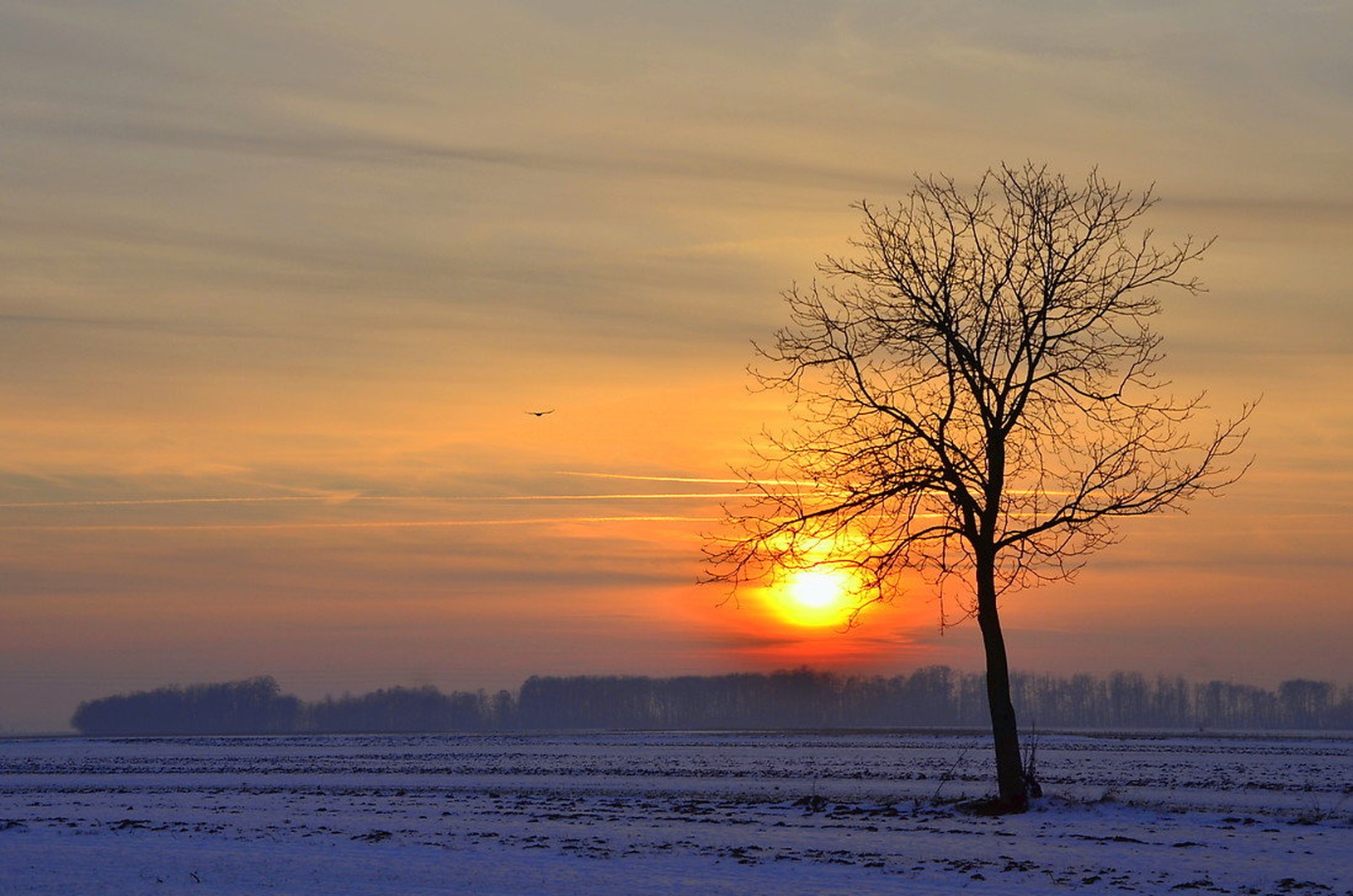 Ujeto sonce by Jasna