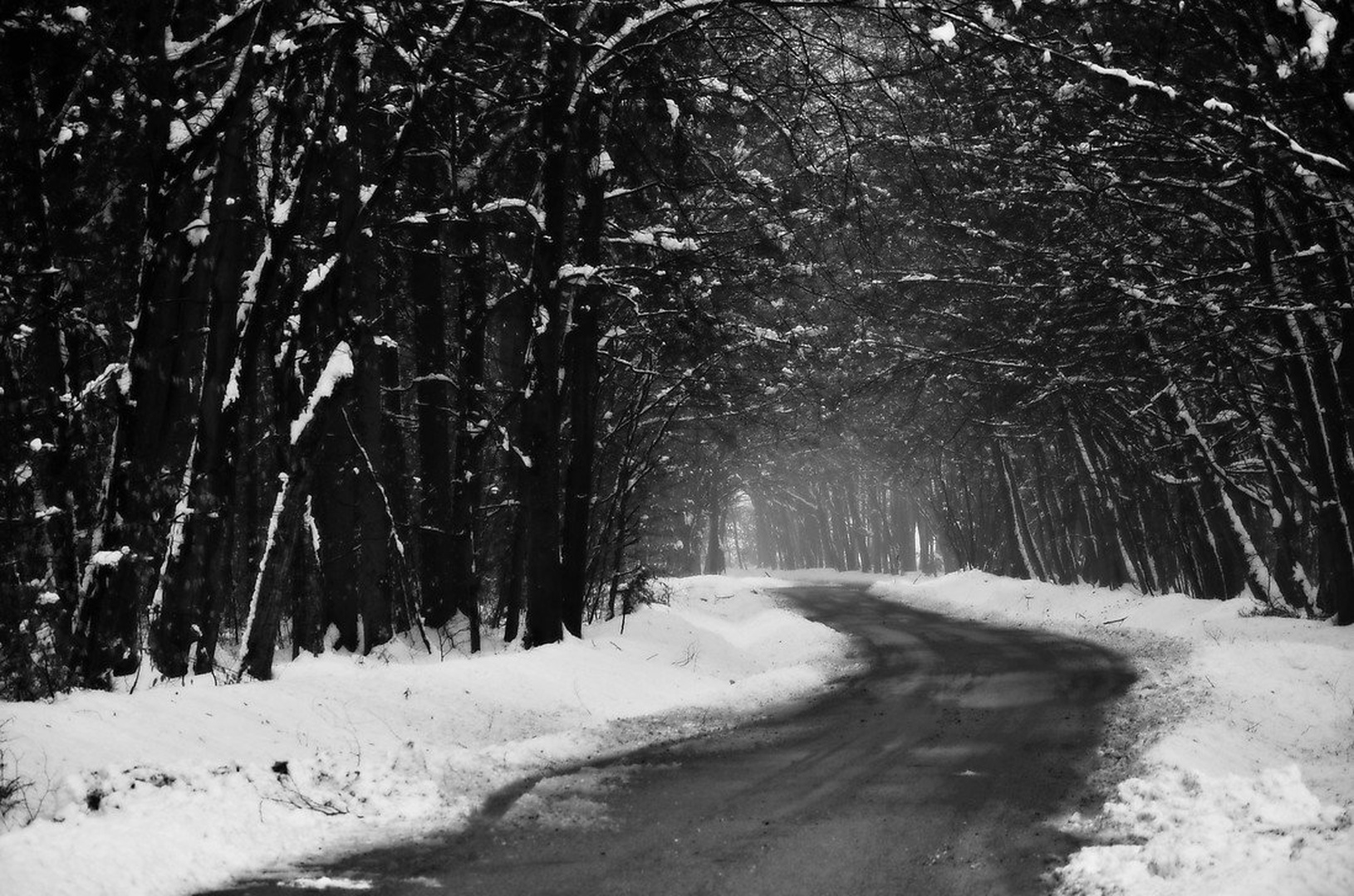 Road to ... by Jasna