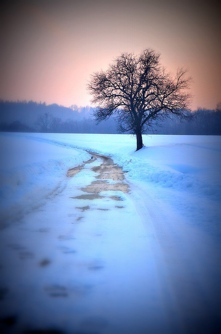 Out there... by Jasna