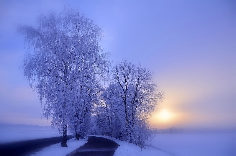 Zasanjano jutro by Jasna