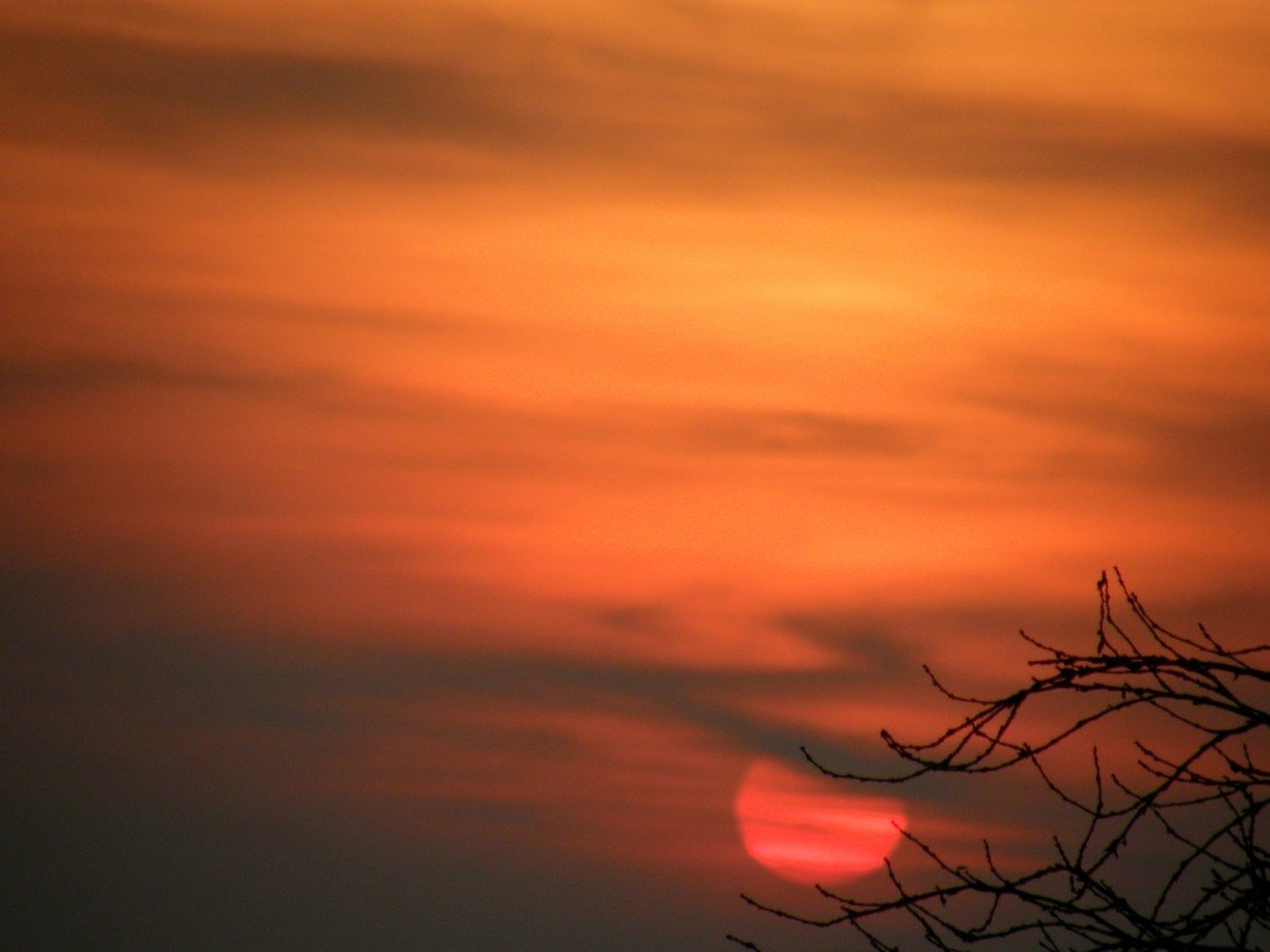 Ujeto sonce by Jasna