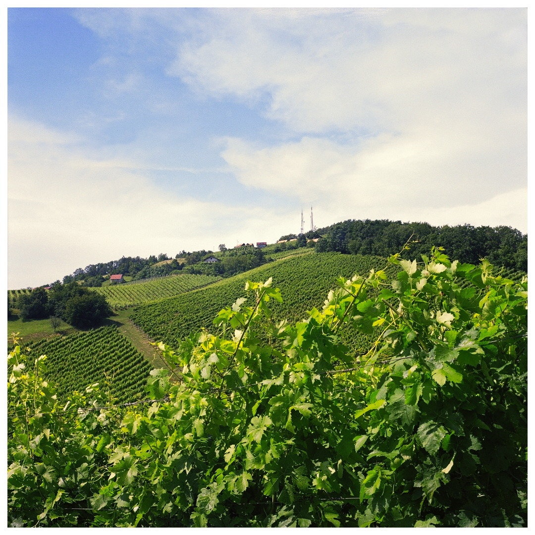 Sremič by miran