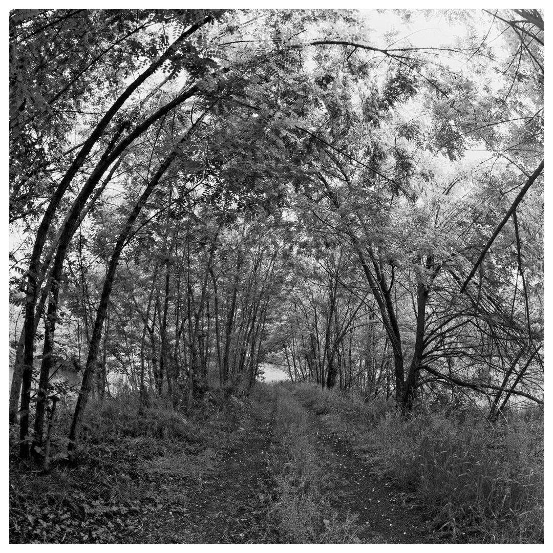 Tunel by miran