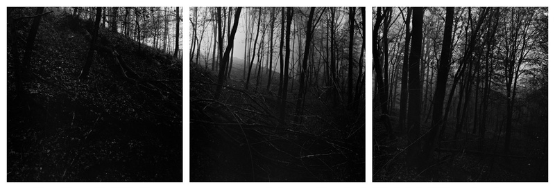 Tema by miran