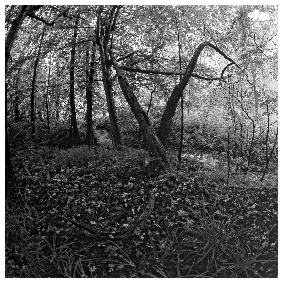 104 by miran