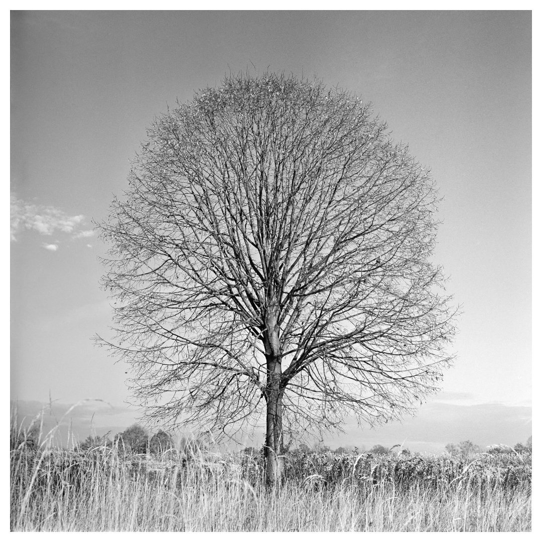 132 by miran