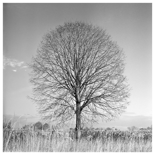 132 by miran