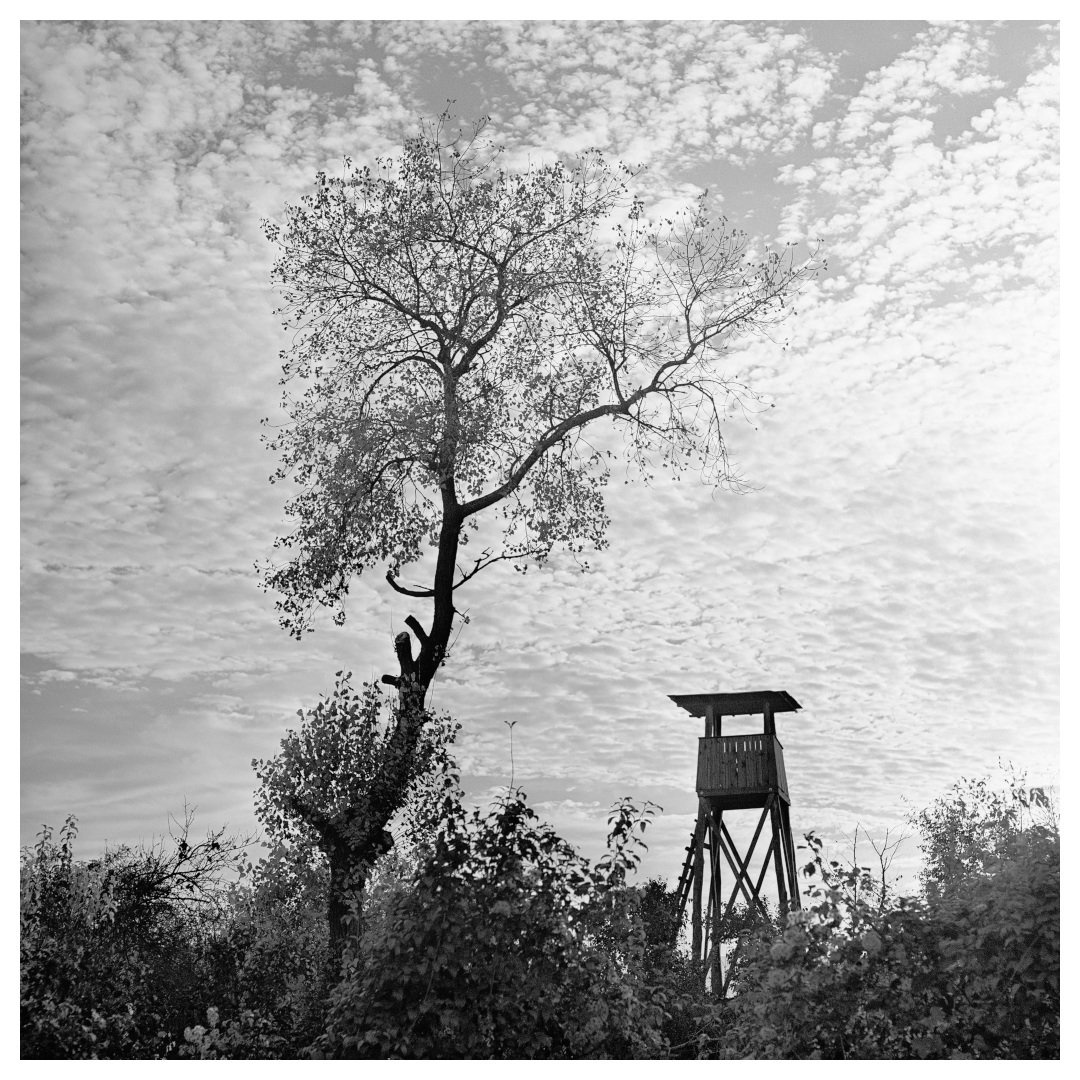 133 by miran