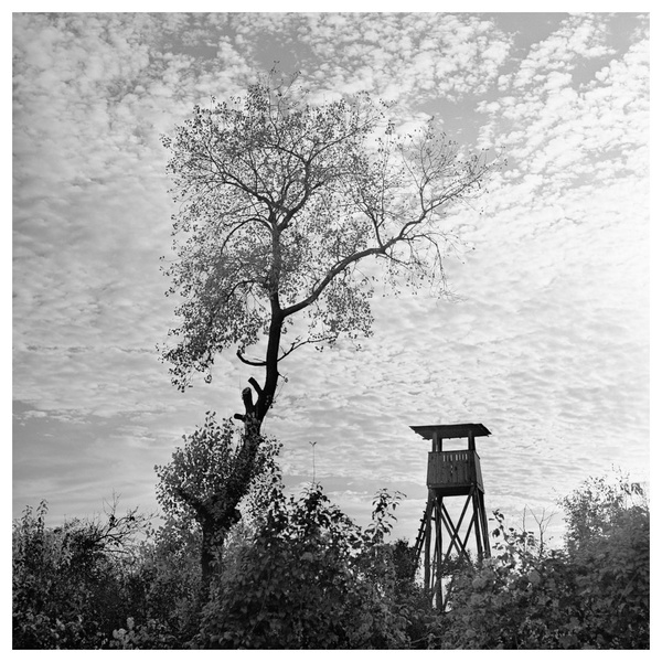133 by miran
