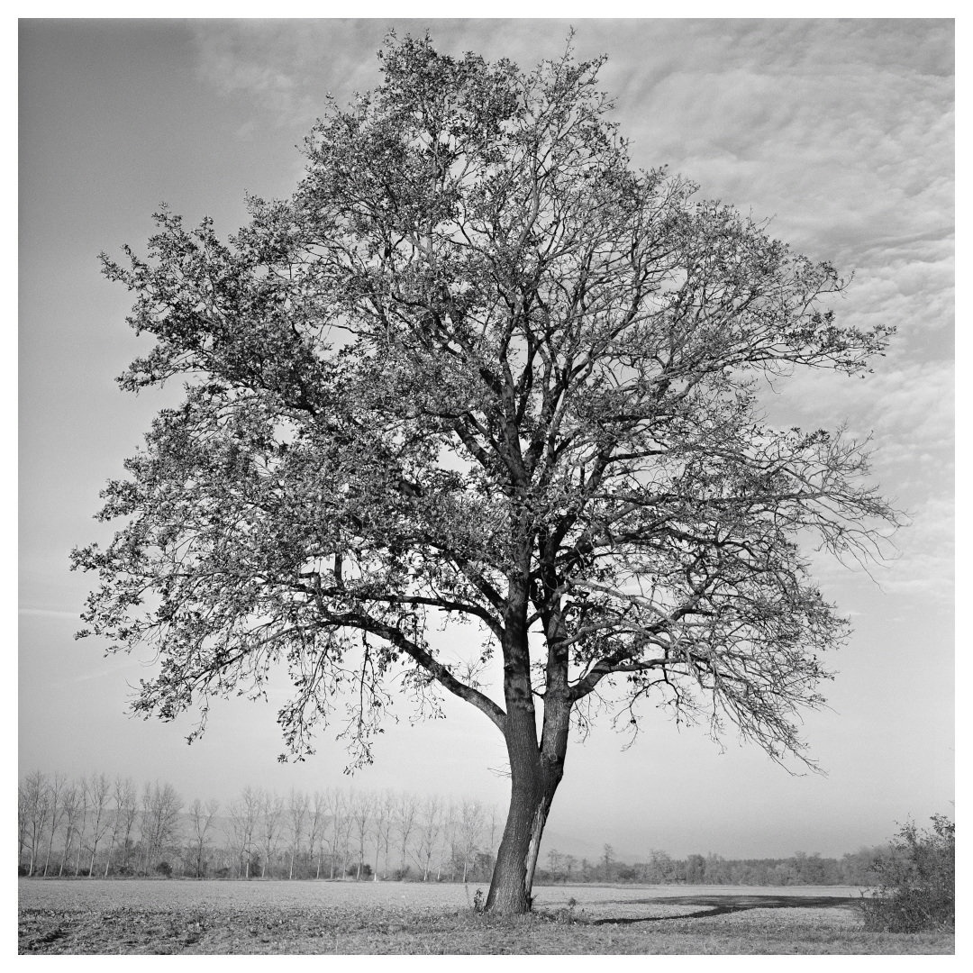 134 by miran
