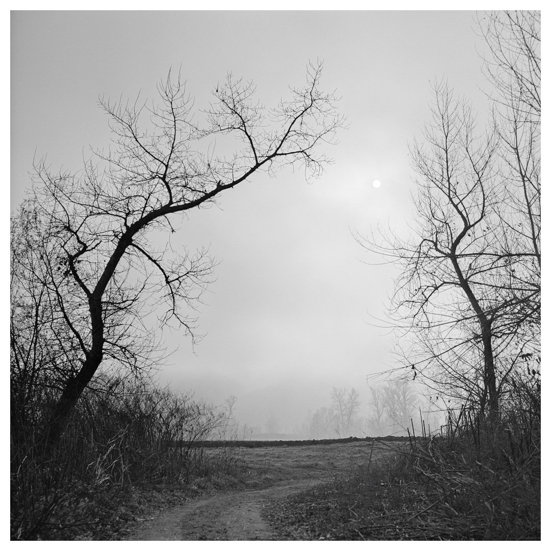 136 by miran