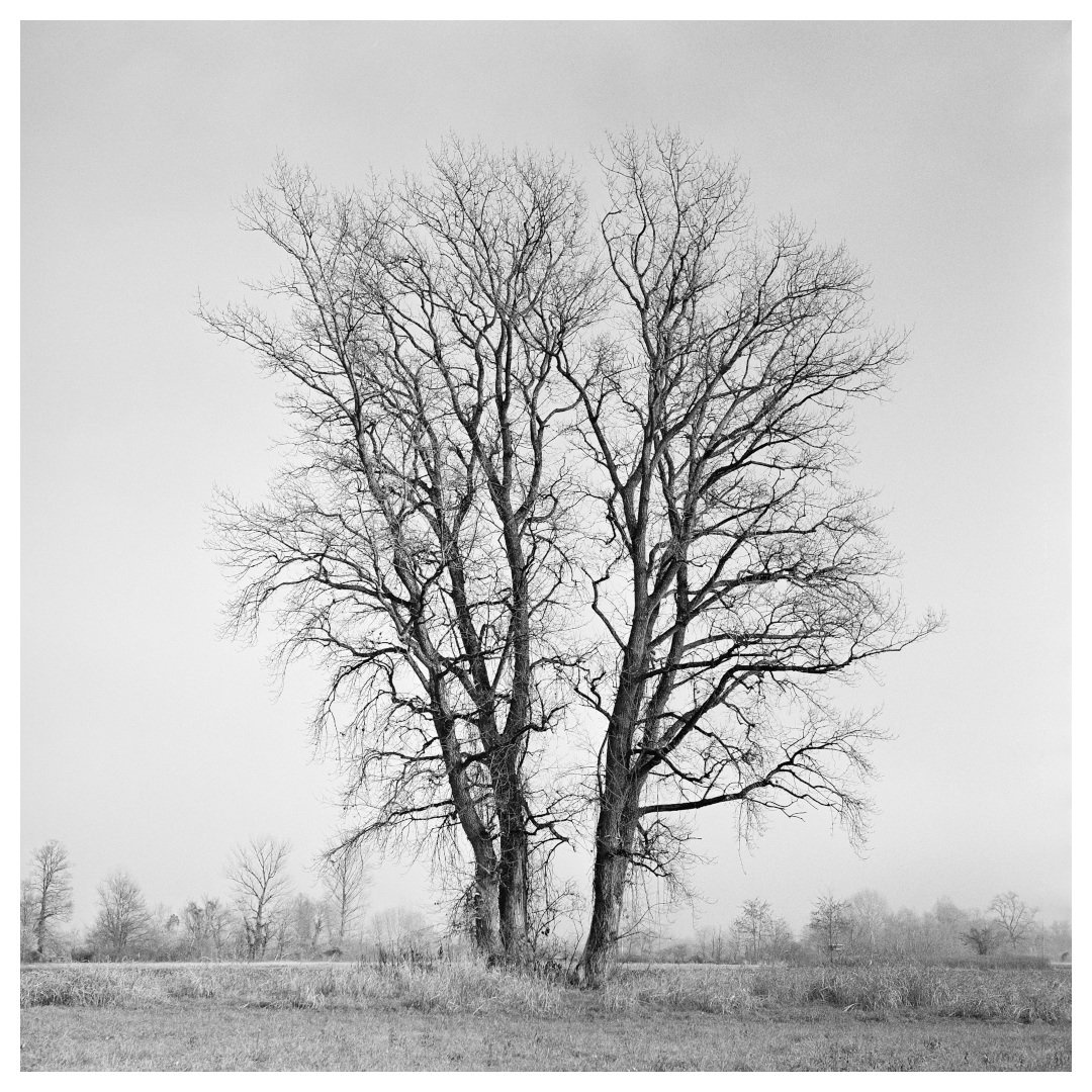 137 by miran