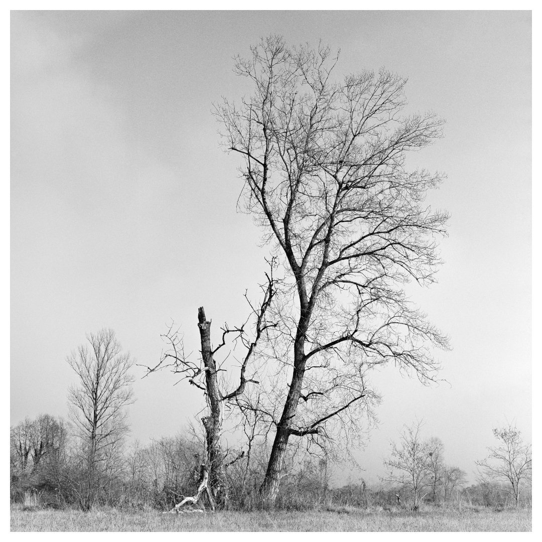 138 by miran