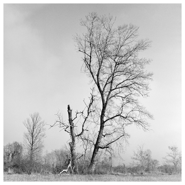 138 by miran
