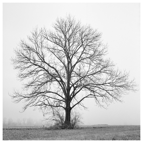 139 by miran