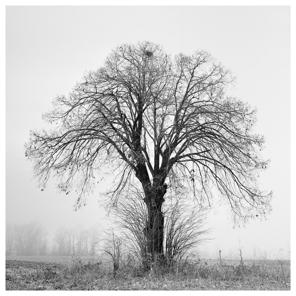140 by miran