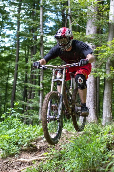 Freeride by Matic Zalaznik