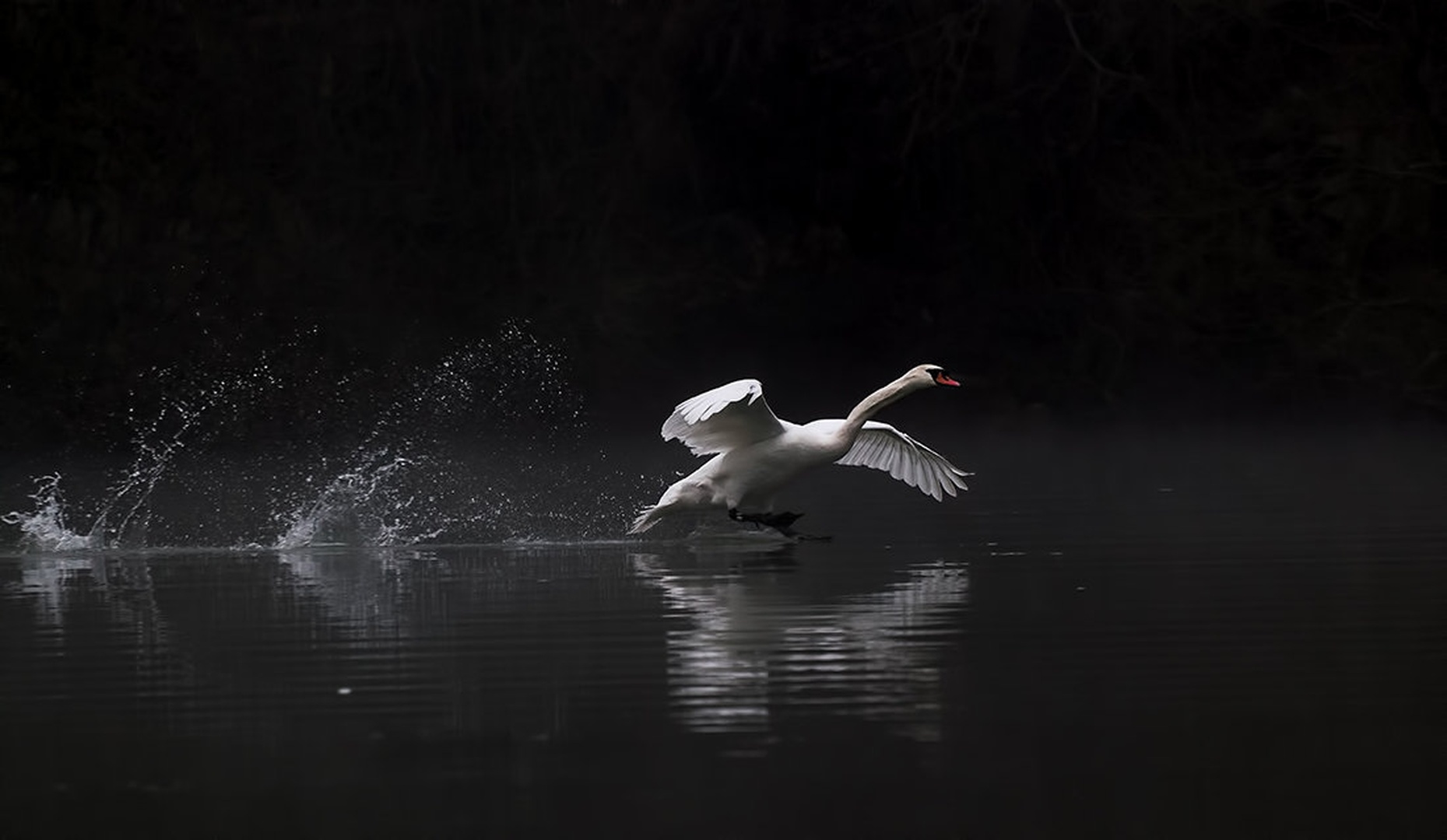 Labodje jezero by Matic Zalaznik