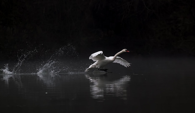 Labodje jezero by Matic Zalaznik