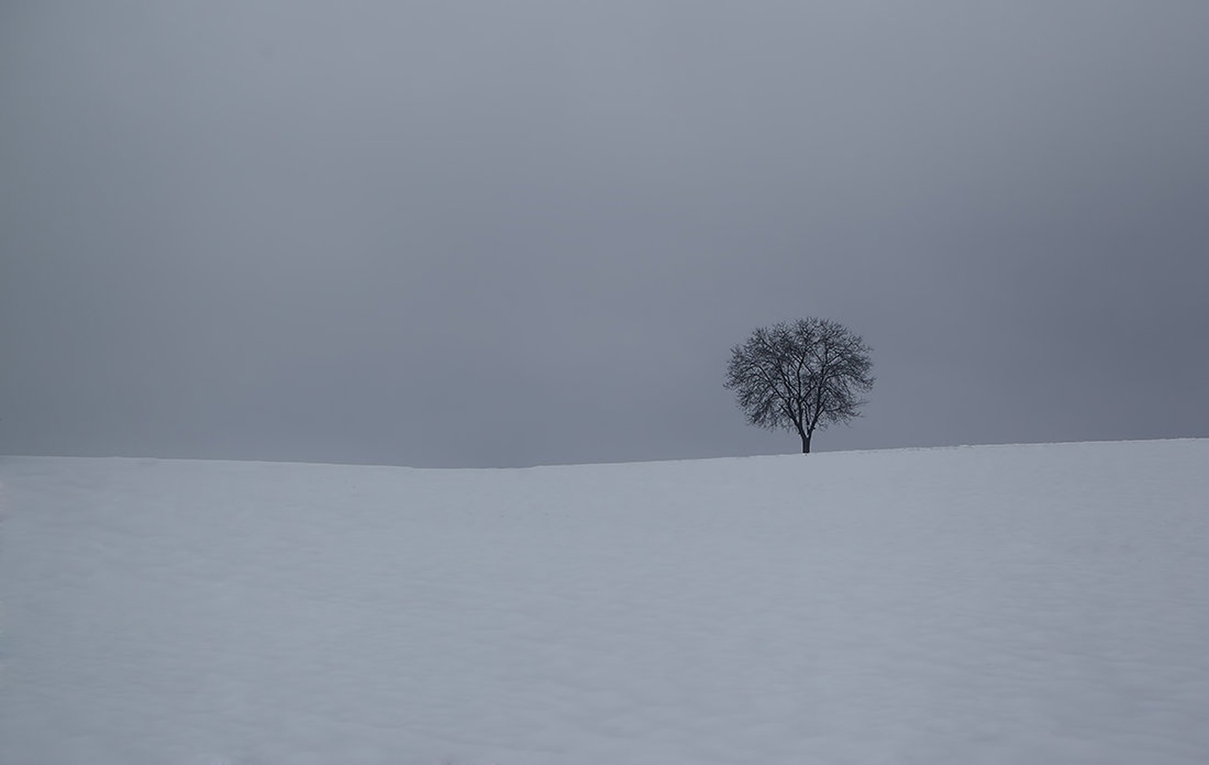 Zimski minimalizem by Matic Zalaznik