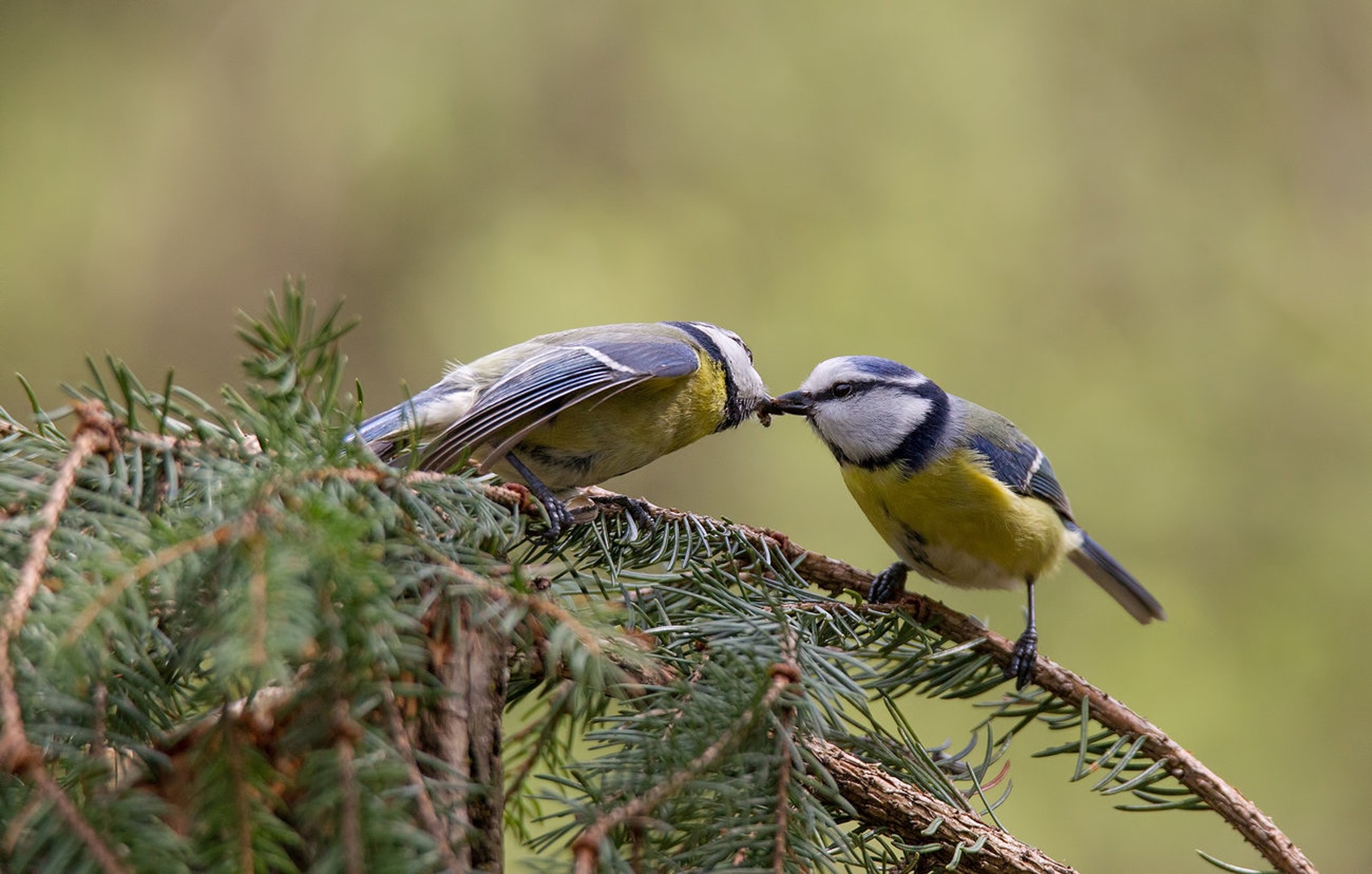 Kiss me! by Matic Zalaznik