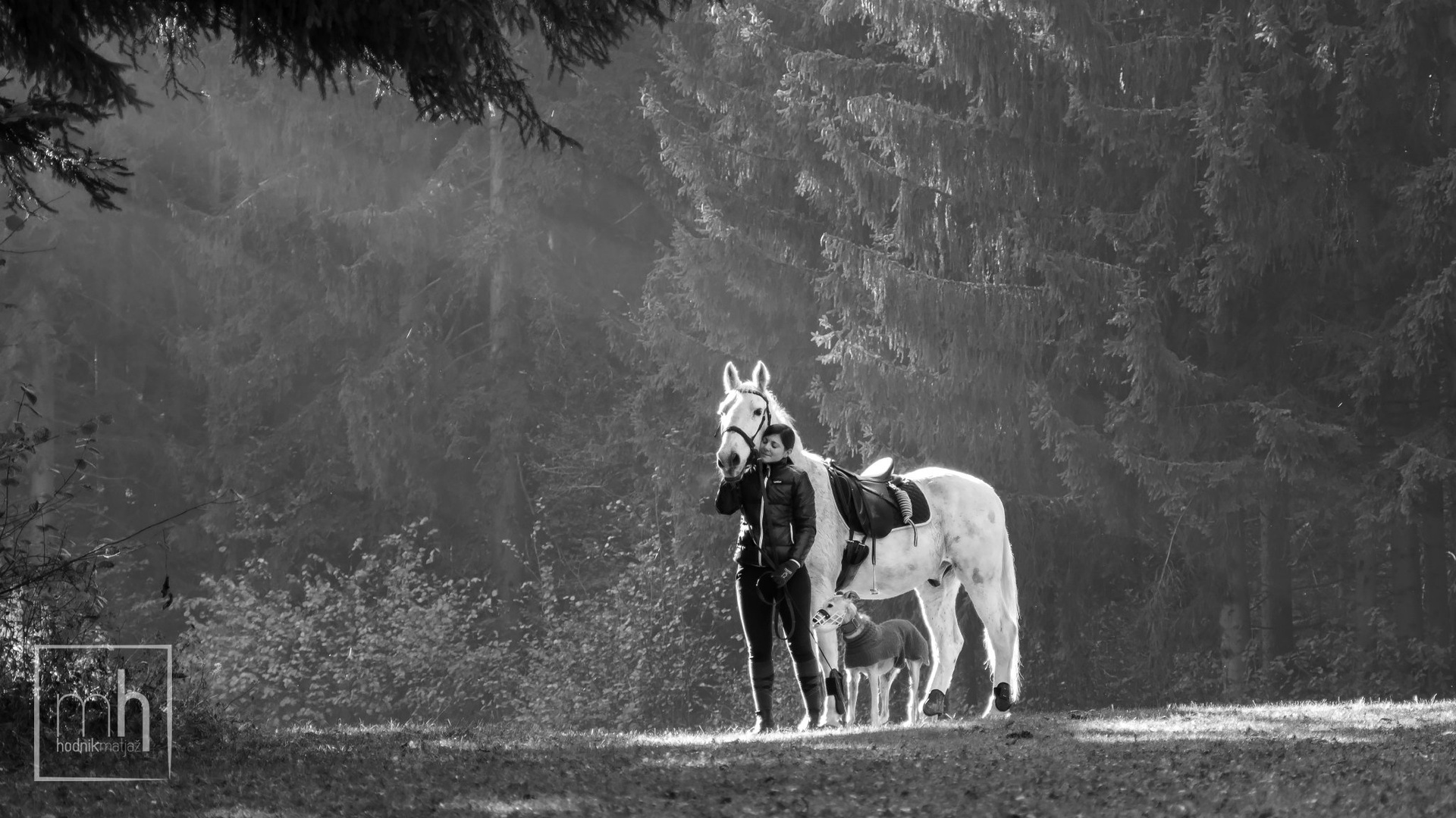 Pure affection by Matjaž Hodnik